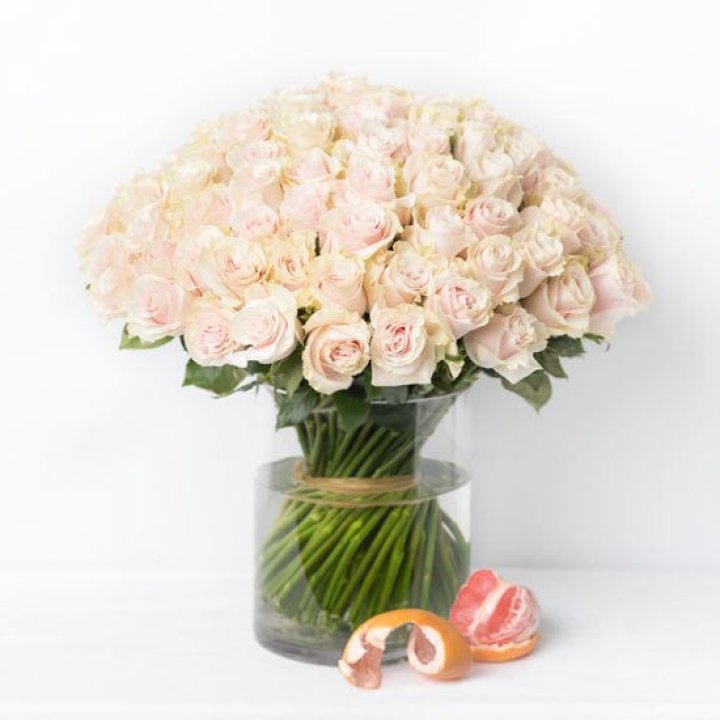 101 кремовая роза в Тамбове