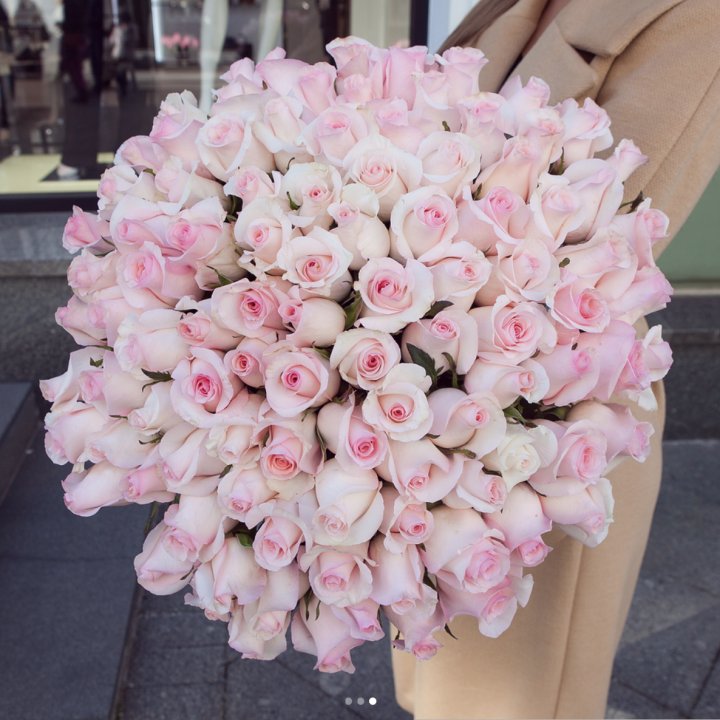 Розы "Пинк бум" в Тамбове