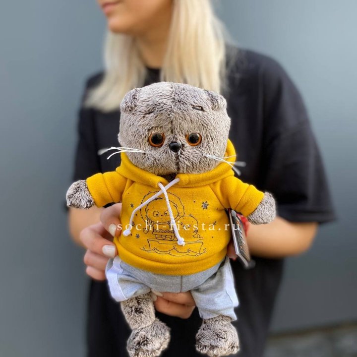 Кот Басик в худи в Тамбове