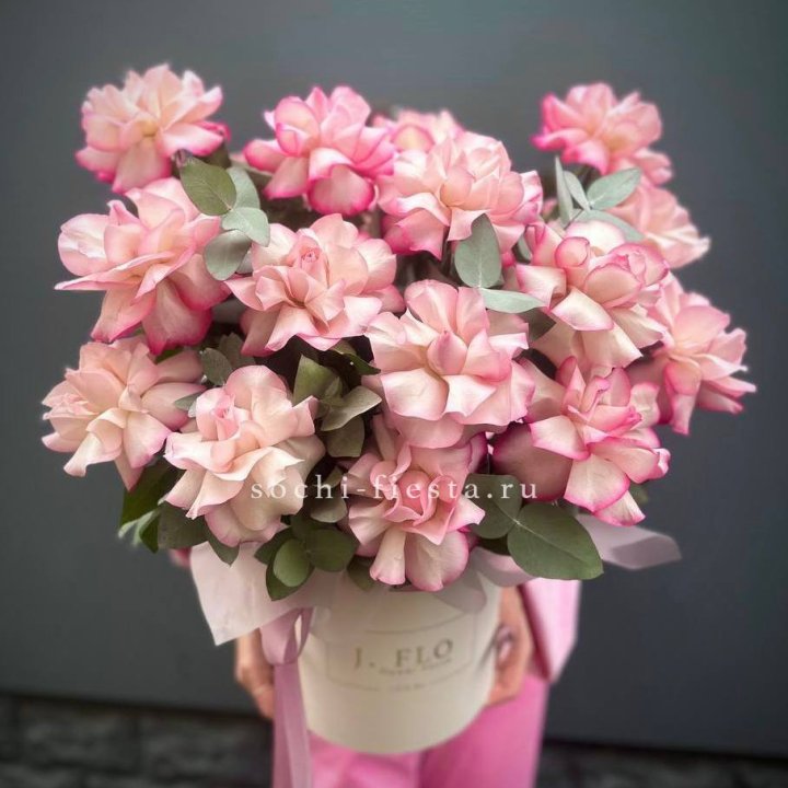 17 Французских  роз Венди в боксе в Тамбове