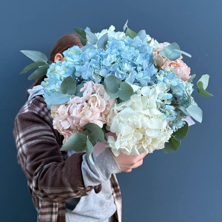 Гортензии в коробочке в Тамбове