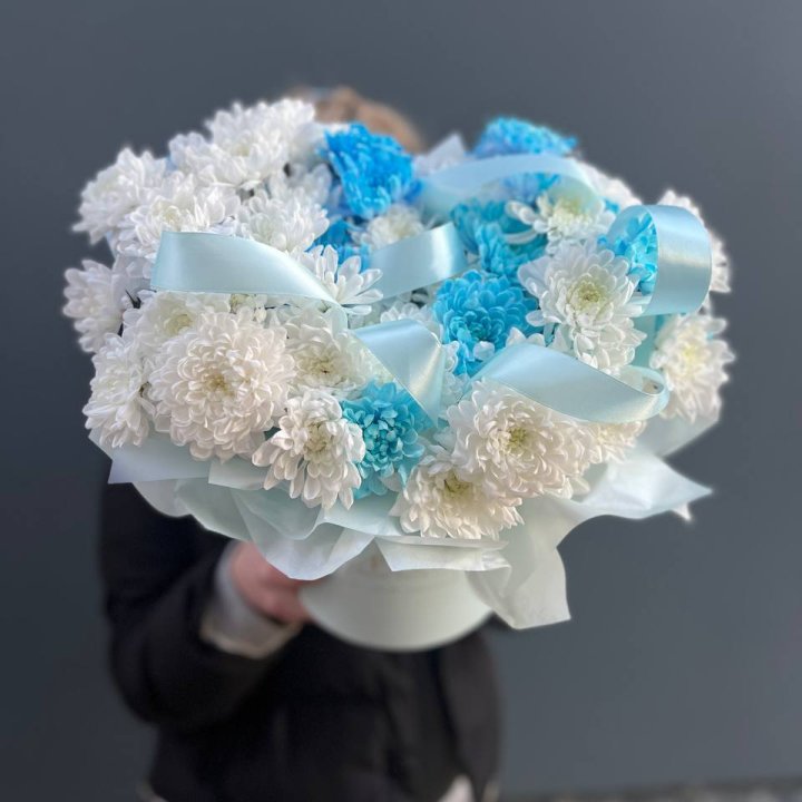 Хризнтемы в боксе в Тамбове