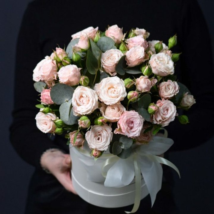 Бомбастик бокс №2 в Тамбове