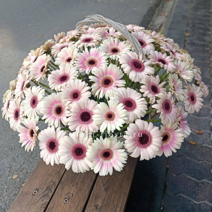 Корзина с герберами  в Тамбове