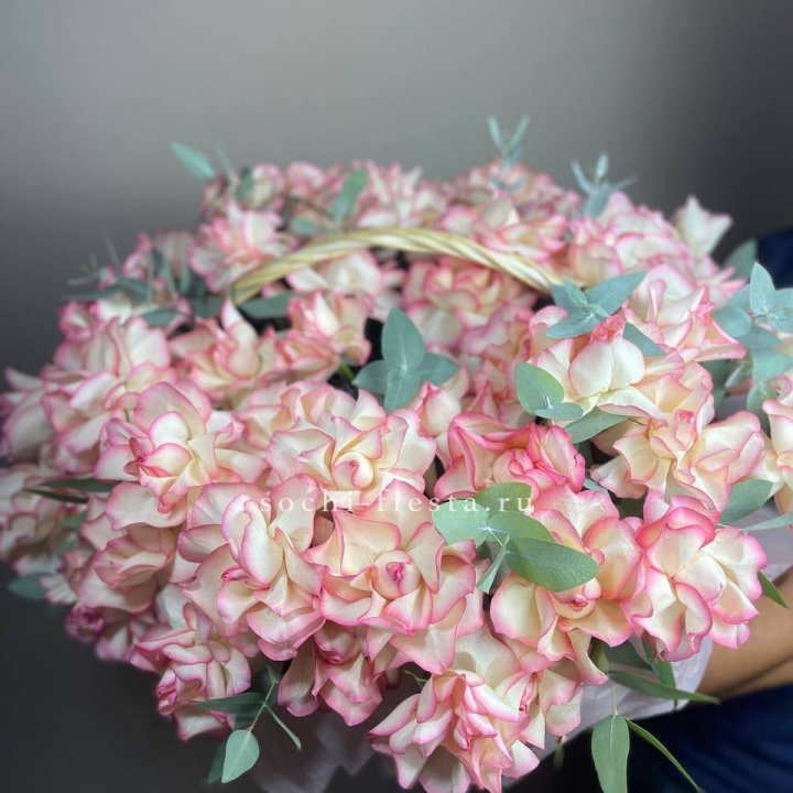 51 джумилия  в корзине   в Тамбове