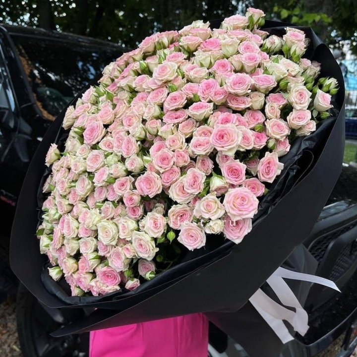 101 кустовая роза "Твистер" в Тамбове