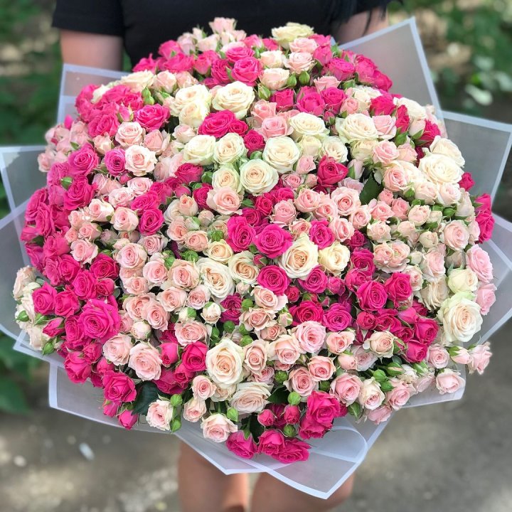 101 кустовая роза в Тамбове