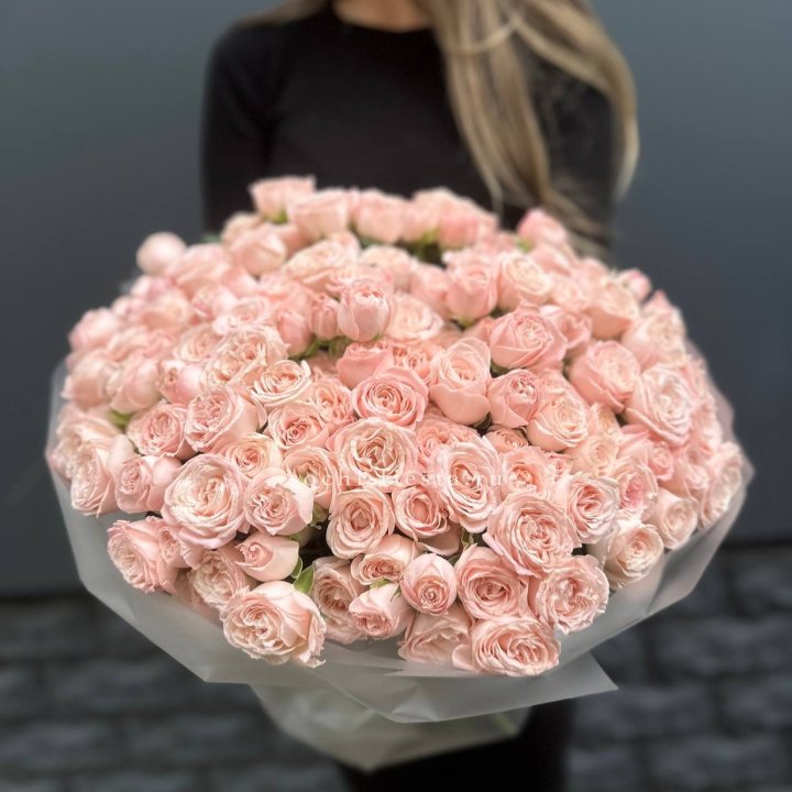 51 кустовая роза Бомбастик в Тамбове