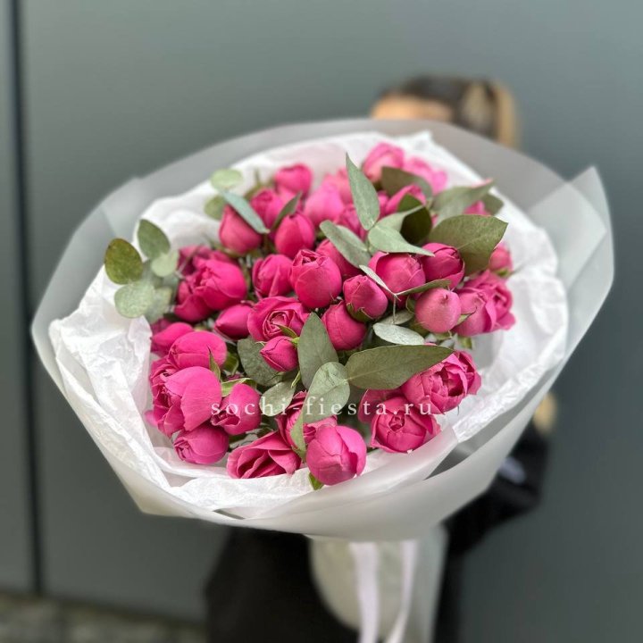 17 Мисти бабблс в Тамбове