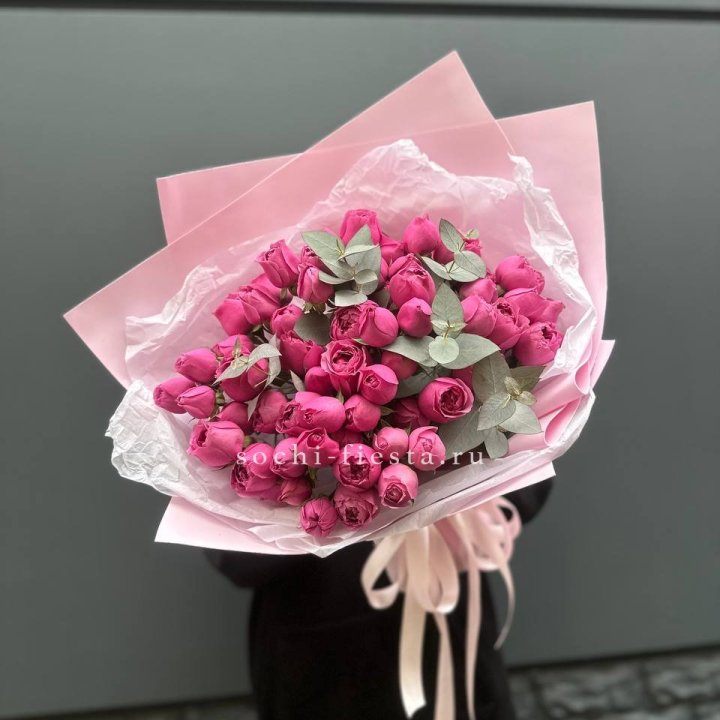 25 Мисти бабблс в Тамбове