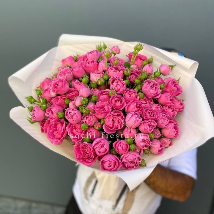 Мисти Баблс 35шт в Тамбове