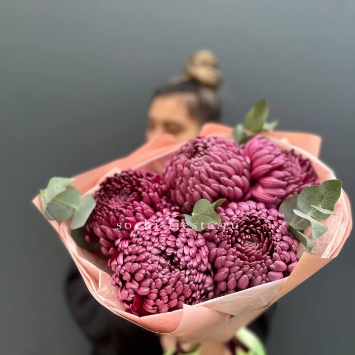 Хризантемы  Бигуди  в Тамбове