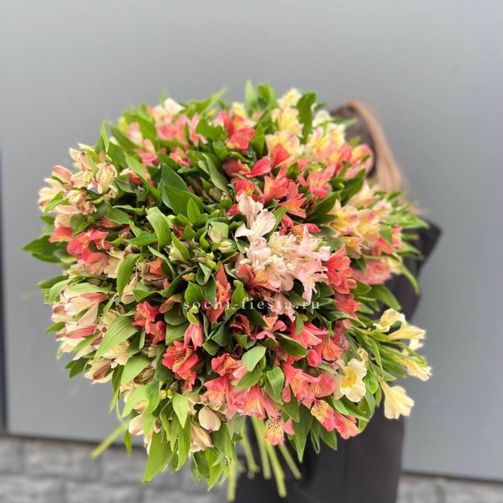 51 альстромерия в Тамбове