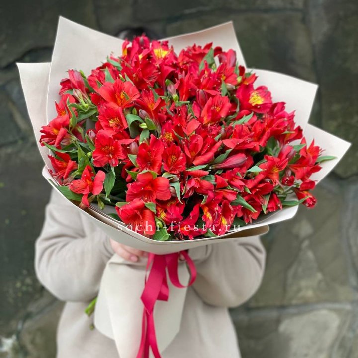 51 альстромерия в Тамбове