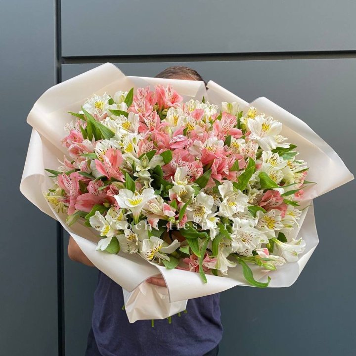 39 альстромерий в Тамбове