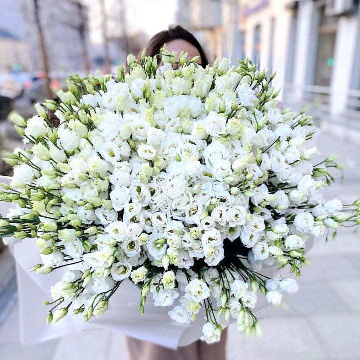 101 белая эустома в Тамбове