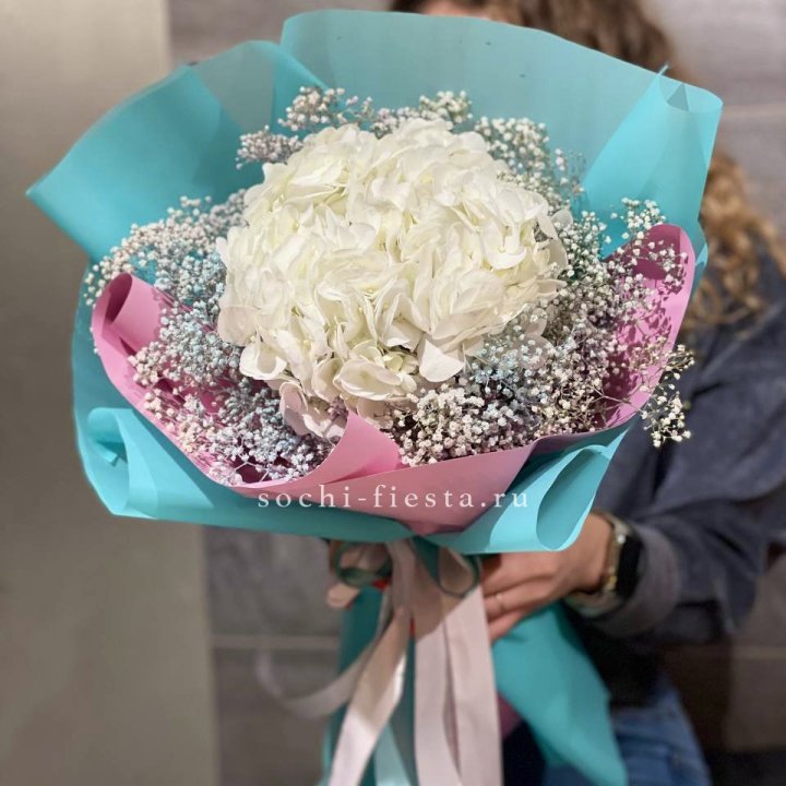 Гортензия "Райдов" в Тамбове