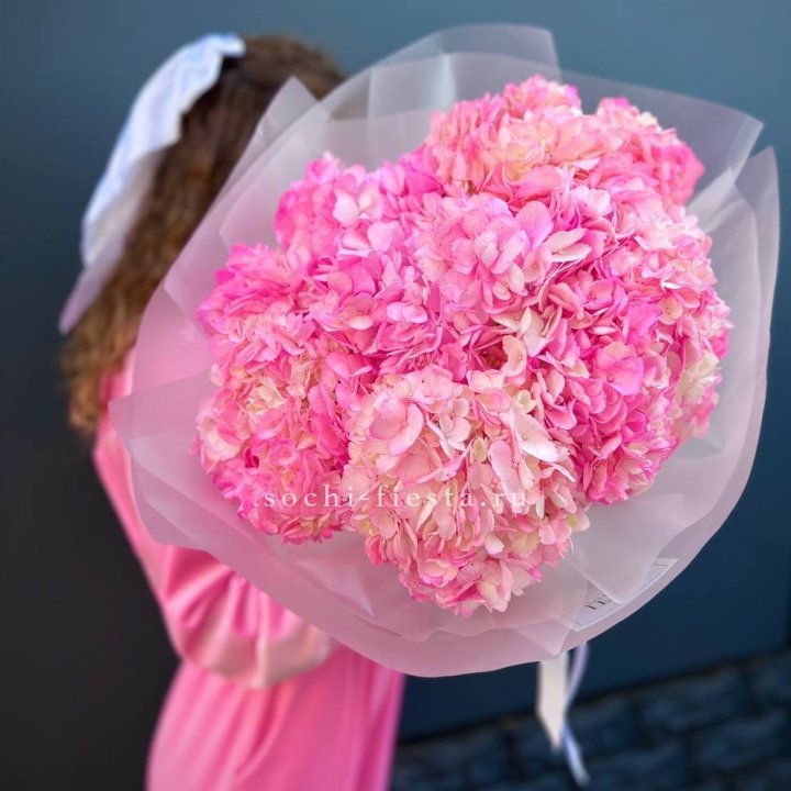 7 ярко розовых гортензий в Тамбове