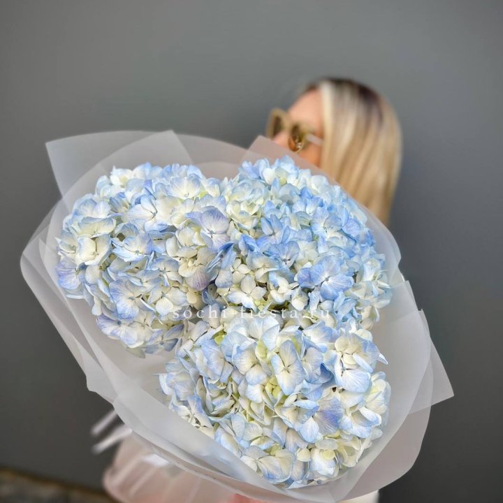 Букет из 3 голубых гортензий  в Тамбове