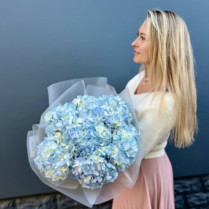 7 голубых гортензий в Тамбове