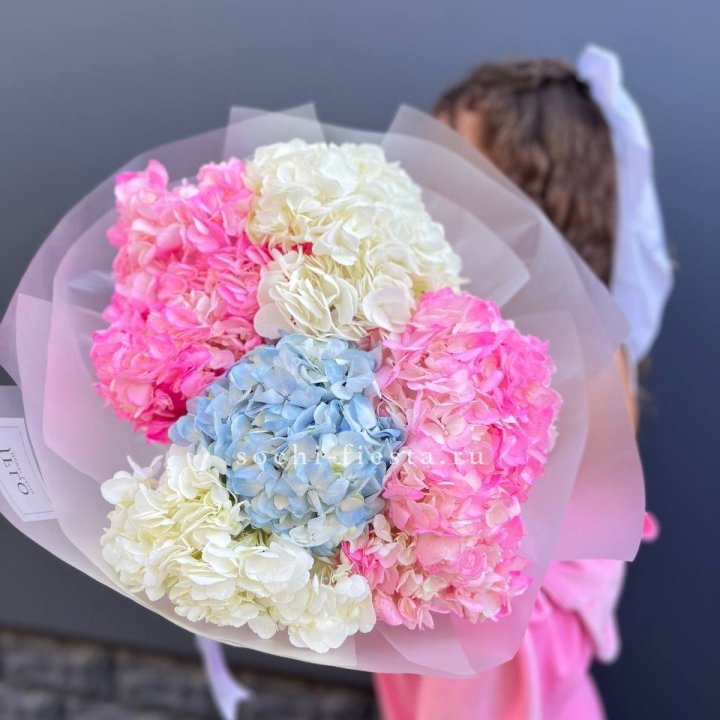 7 гортензий микс в Тамбове