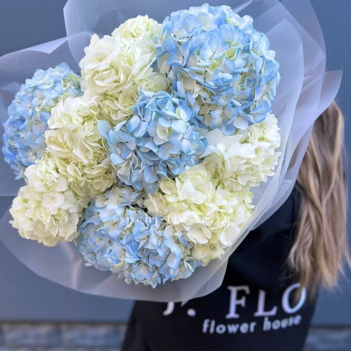 9 бело-голубых гортензий в Тамбове
