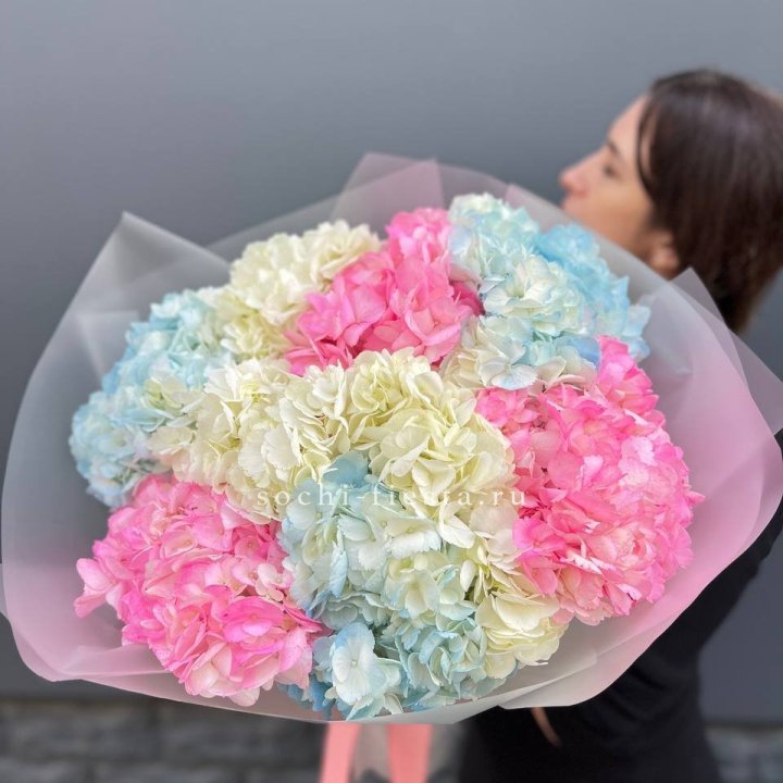 9 гортензий микс в Тамбове