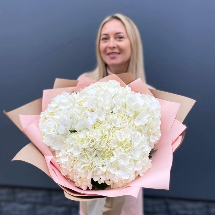 Гортензия белая в Тамбове