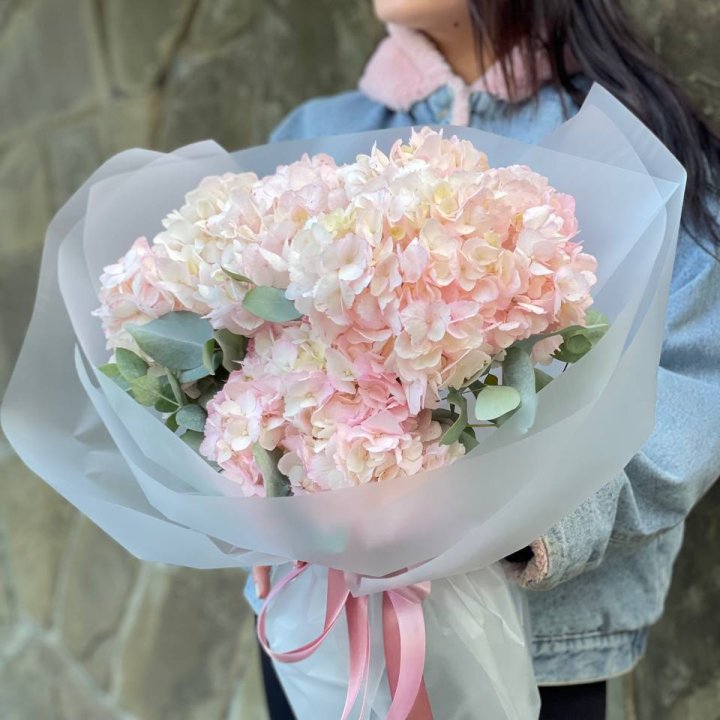 5 розовых гортензий в Тамбове