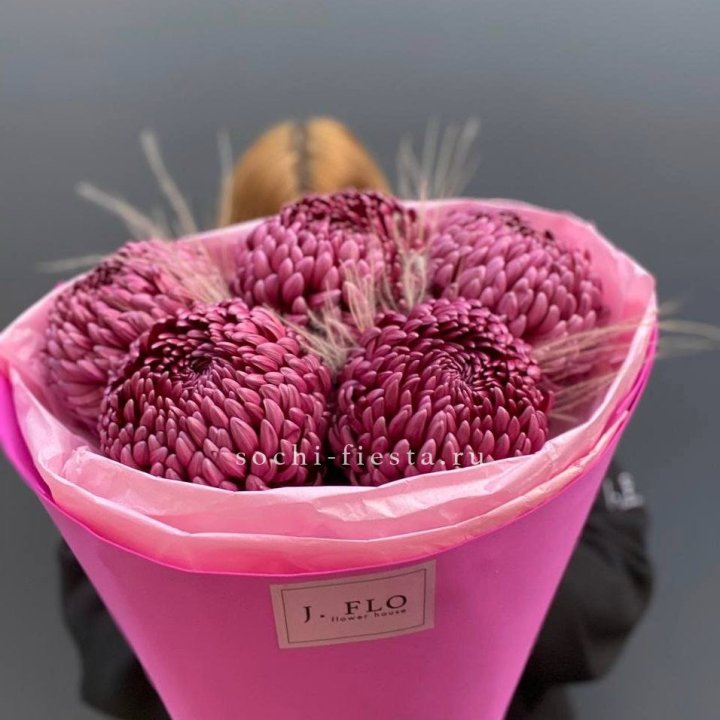 Хризантемы  Бигуди с стифой в Тамбове