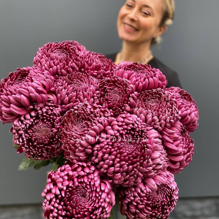 Охапка хризантем Бигуди в Тамбове