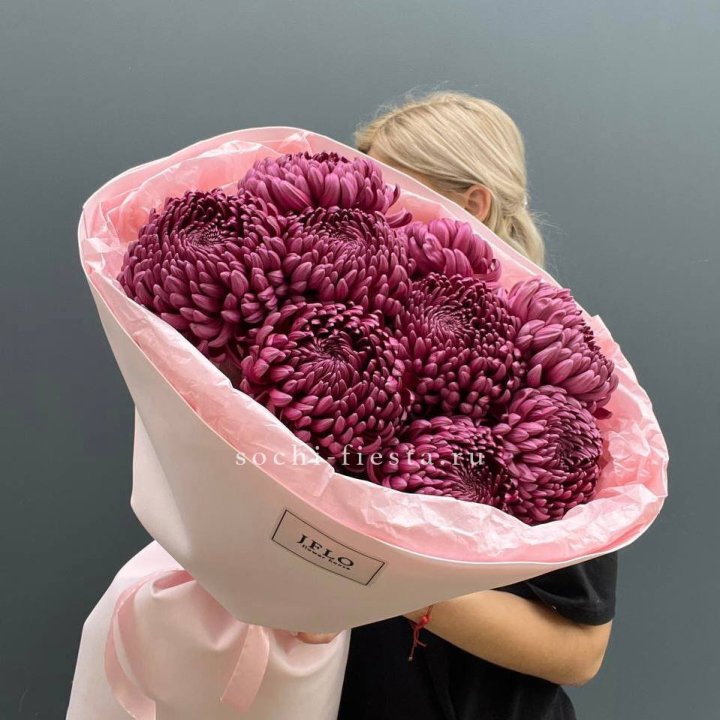 9 хризантем бигуди в Тамбове