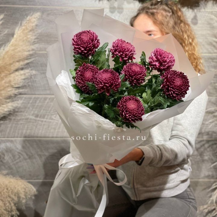 Хризантемы Бигуди в Тамбове