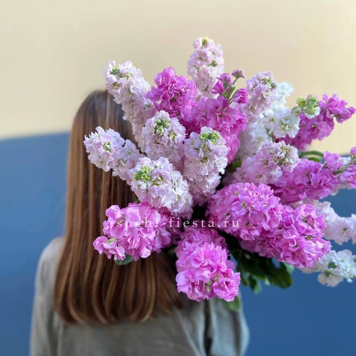 Охапка маттиолы в Тамбове