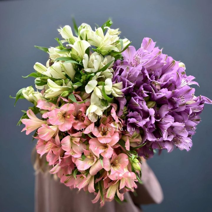Охапка Альстромерии в Тамбове