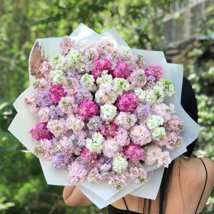 Букет ароматной маттиоллы №3 в Тамбове