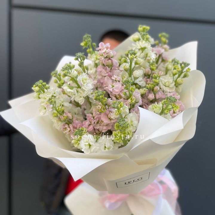 29 маттиол  в Тамбове