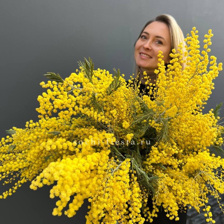 Охапка мимозы №2 в Тамбове