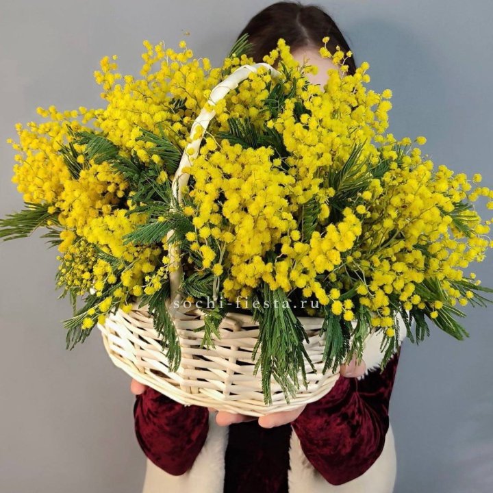 Корзина ароматной мимозы в Тамбове