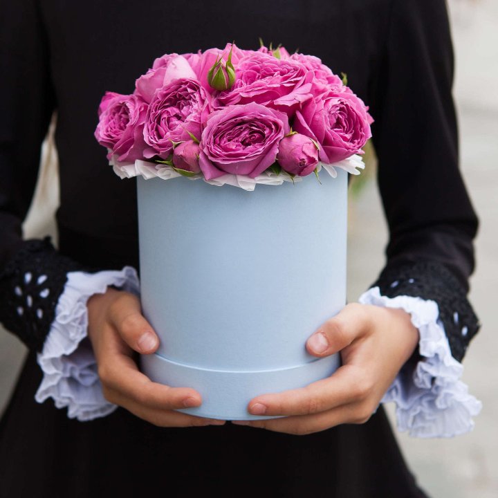 Бокс мини мисти в Тамбове