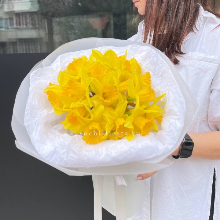 Нарциссы 25 шт в Тамбове