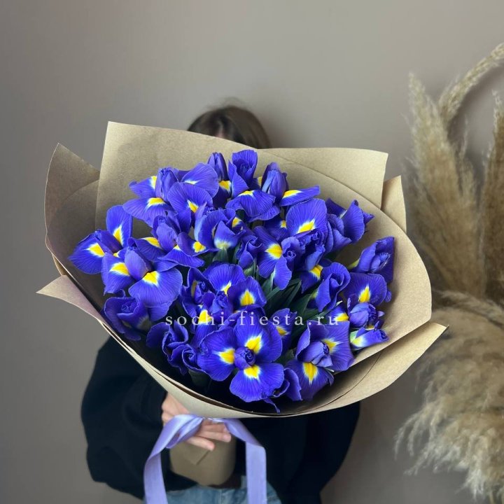 Ирисы в Тамбове