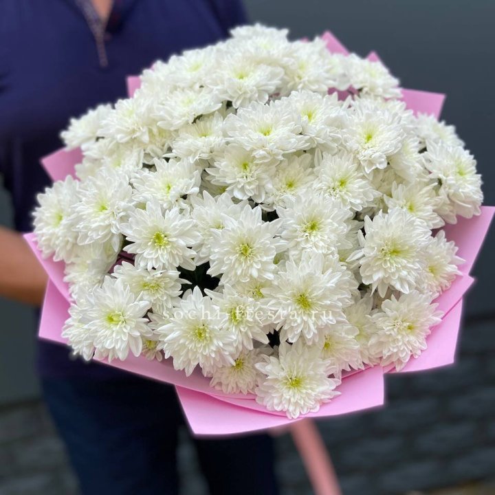  Букет 15 хризантем  в Тамбове