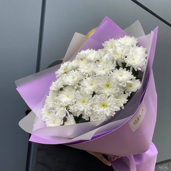  7 хризантем  в Тамбове