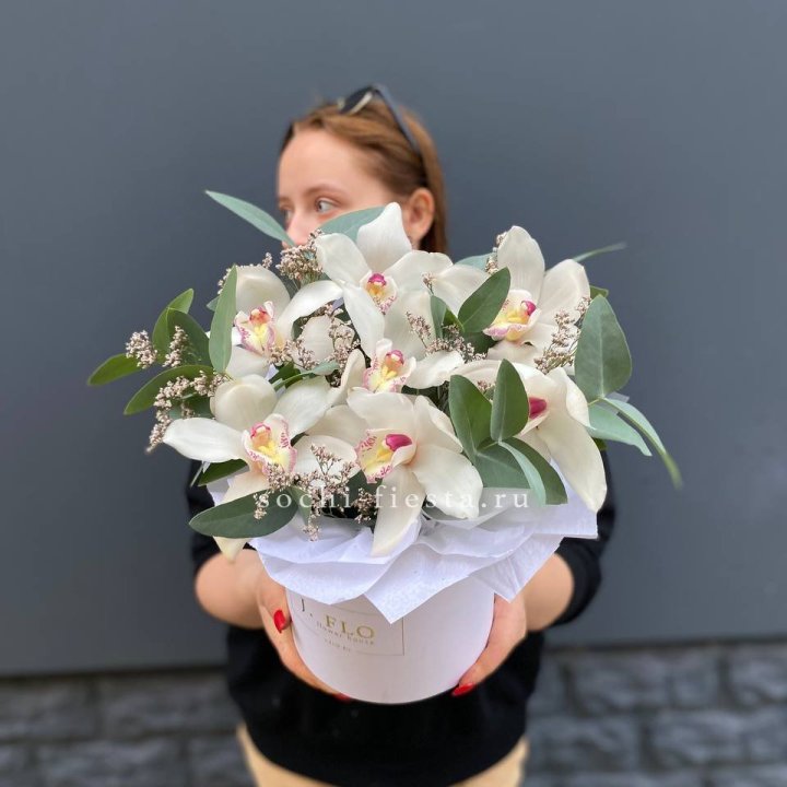 7 орхидей в боксе в Тамбове