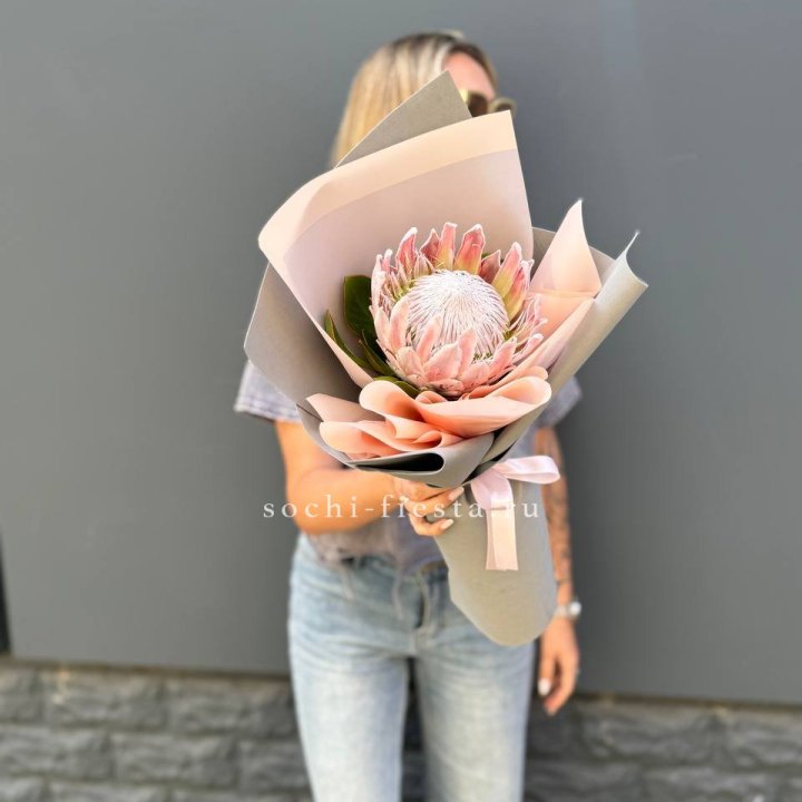 Протея мини  в Тамбове