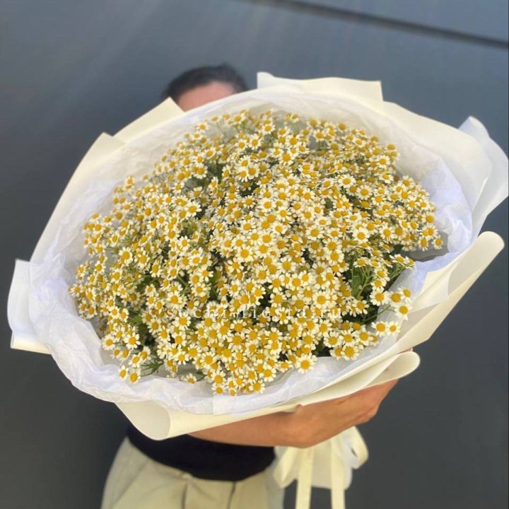 Букет ромашек №2 в Тамбове
