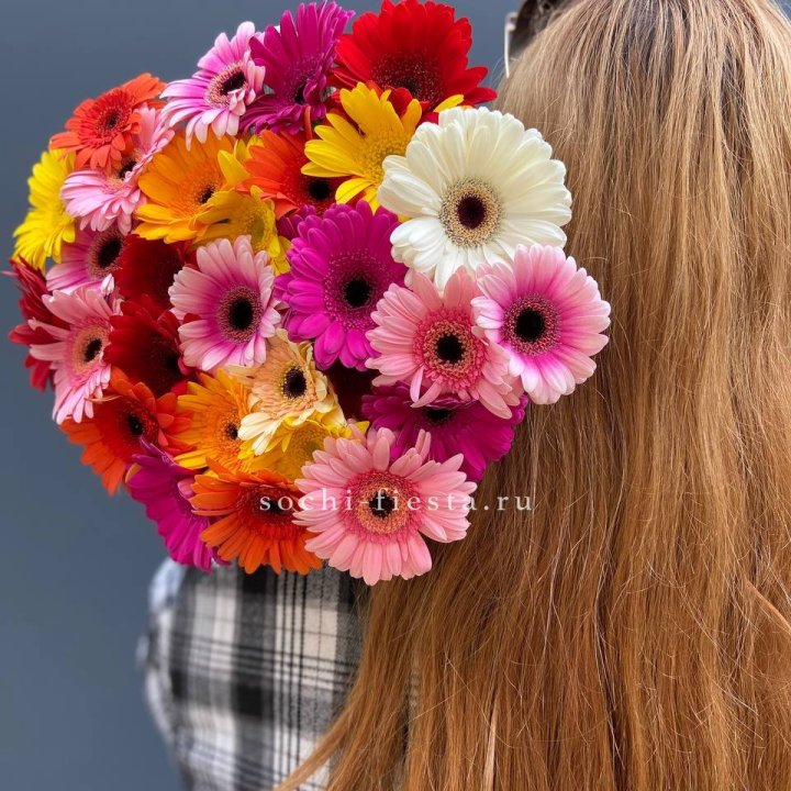 Охапка гербер  в Тамбове