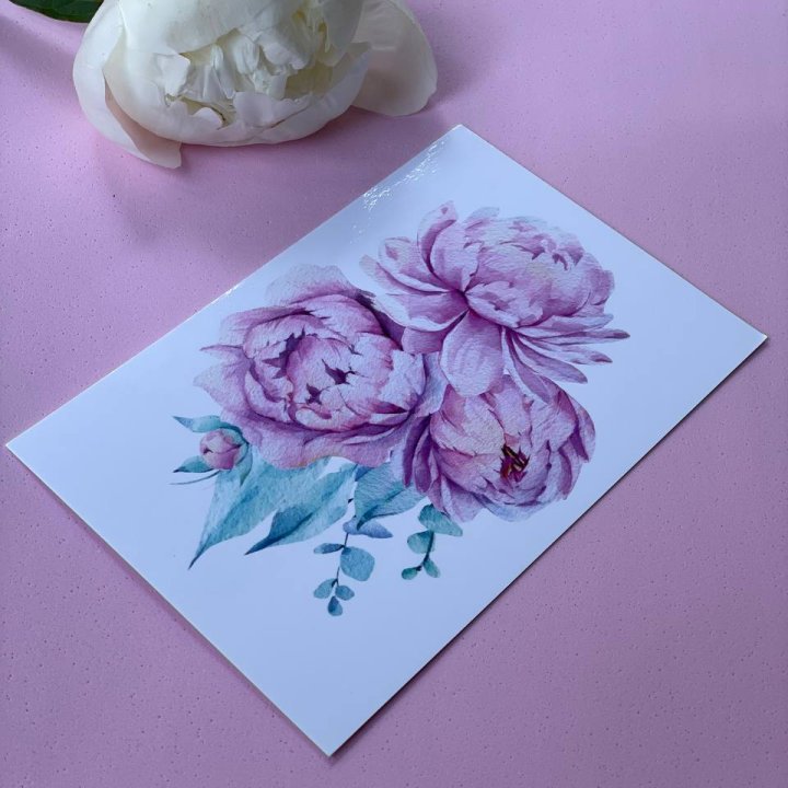 Открытка к букету "Пионы" в Тамбове