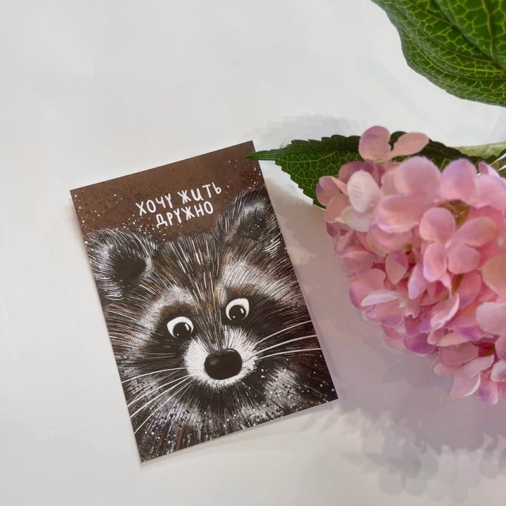 Открытка к букету "Енотик" в Тамбове